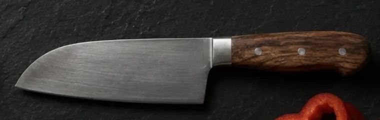 Santoku Knife